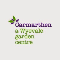 Carmarthan, a Wyevale Garden Centre 1125799 Image 1