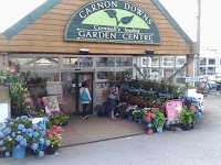 Carnon Downs Garden Centre 1112237 Image 3
