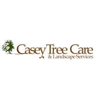 Casey Tree Care 1124881 Image 1