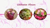 Celebration Flowers 1108489 Image 3