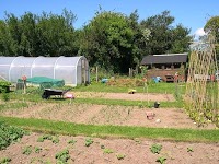 Central Cornwall Allotments 1120861 Image 0