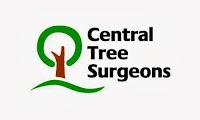Central Tree Surgeons 1121210 Image 1