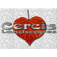 Cercis Landscapes 1124773 Image 8
