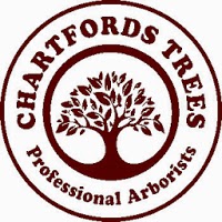 Chartfords Trees 1116307 Image 7