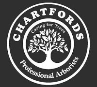 Chartfords Trees 1116307 Image 9