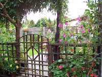 Cheshire Cottage Garden Plants 1107746 Image 0