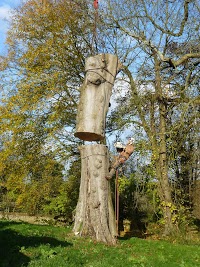 Chris Notman Tree Surgery in Chipping Norton, Oxfordshire OX7 6QL