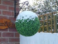 Chris Robinson   Artificial Topiary Balls 1114748 Image 1