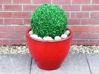 Chris Robinson   Artificial Topiary Balls 1114748 Image 2