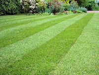 Churchill Landscapers 1123269 Image 2