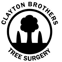 Clayton Brothers 1117219 Image 1