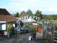 Cleeve Nursery and Garden Centre 1106991 Image 1
