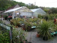 Cleeve Nursery and Garden Centre 1106991 Image 6
