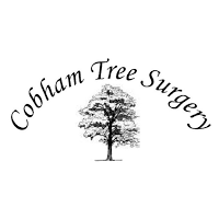 Cobham Tree Surgery 1126314 Image 6