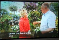 Cooks Garden Centre 1111931 Image 5