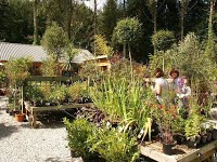 Cornish Garden Nurseries 1110121 Image 1
