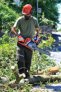 Countryside First Tree Services 1130991 Image 2