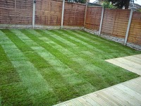 Countryside Tree Services, Grounds Care and Landscaping 1110586 Image 0