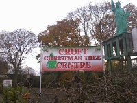 Croft Christmas Tree Centre 1115124 Image 1