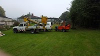 Cutting Hedge Tree Services of gwent 1116965 Image 1