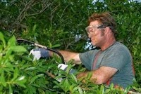 D R Newland Tree Care and Fencing 1115942 Image 2