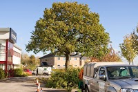 DB Tree Care Ltd   Sheffield Tree Surgeons   Firewood Sales 1114496 Image 0