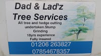Dad N Ladz Tree Services 1115778 Image 1