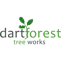 Dartforest Tree Works Ltd. 1105368 Image 3