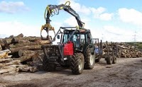 David Neill Forestry and Arboriculture 1121231 Image 0