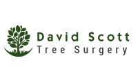 David Scott Tree Surgery 1105373 Image 1