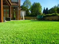 Dayco Artificial Grass 1104095 Image 1