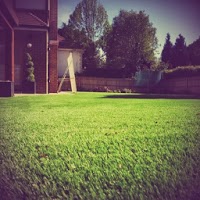 Dayco Artificial Grass 1104095 Image 5