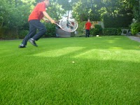 Dayco Artificial Grass 1104095 Image 7