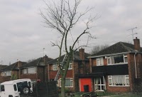 Dead Or Alive Tree Surgery 1125561 Image 1