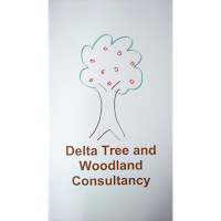 Delta Tree and Woodland Consultancy 1118596 Image 3