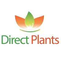 Direct Plants 1117423 Image 0