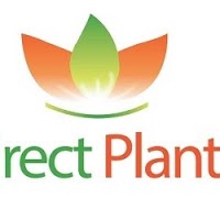 Direct Plants 1117423 Image 1