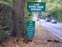Doves Barn Nursery 1110049 Image 0