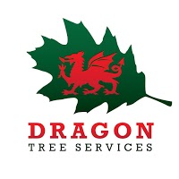 Dragon Tree Services 1123897 Image 0
