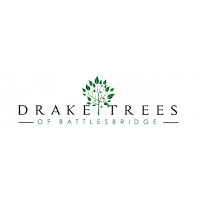 Drake Trees 1105544 Image 2