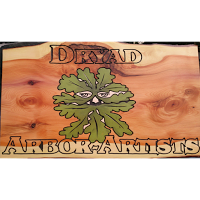 Dryad Arbor artists 1114860 Image 4