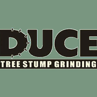 Duce Tree Stump Grinding 1113456 Image 5