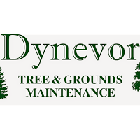 Dynevor Tree Services 1108287 Image 2