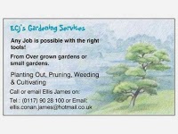 ECJs Gardening Services 1107962 Image 4
