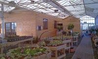 Earsdon Plants Centre 1118143 Image 2