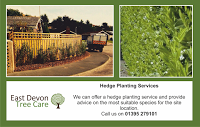 East Devon Tree Care Ltd 1127480 Image 1