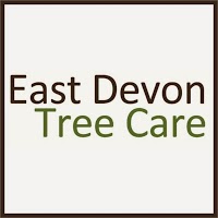 East Devon Tree Care Ltd 1127480 Image 5