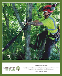 East Devon Tree Care Ltd 1127480 Image 9