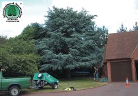 Eastwood Tree Services Ltd 1131565 Image 0