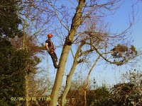 Elite Tree Care 1127142 Image 1